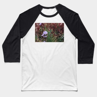 Chicory Flower Baseball T-Shirt